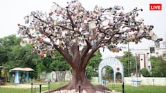 6 कलाकार और 120 कारीगर ने बना दी बुलंदशहर में अनोखी दुनिया, इस दिन से लुत्फ ले सकेंगे पर्यटक