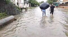 Kutch Rain: કચ્છના ગાંધીધામમાં ભારે પવનના સુસવાટા સાથે ધોધમાર વરસાદ, અનેક વિસ્તારોમાં ભરાયા પાણી