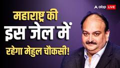 'खाना, इलाज और सुरक्षा का पूरा इंतजाम...' भारत ने बेल्जियम कोर्ट को बताया मेहुल चौकसी कहां और कैसे रहेगा?