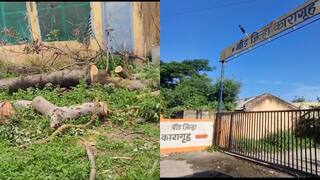 Beed : बीडचे जेलर पेट्रस गायकवाडांचा प्रताप, 40 वर्षांपूर्वीच्या झाडांची कत्तल, कैद्याकडून कार धुऊन घेतली