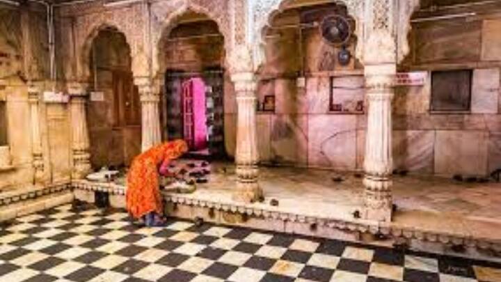 भक्तगण उंदरांसोबत मंदिर परिसरात मोकळेपणाने फिरतात आणि त्यांना त्रास न देता आदराने वागवतात.