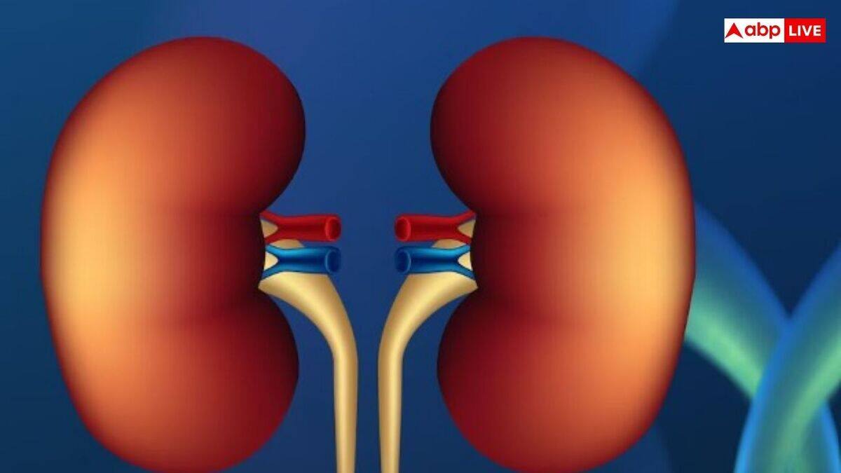 Kidney Disease Symptoms: சைலன்ட்டாக சம்பவம் செய்யும் கிட்னி நோய்; இந்த அறிகுறிகள் இருந்தா அசால்ட்டா இருந்துடாதீங்க