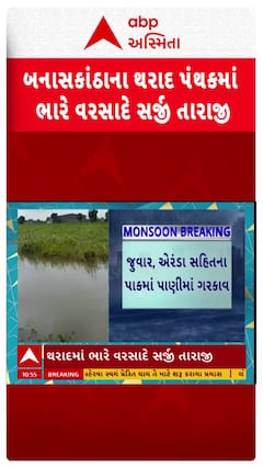 Banaskantha Flood: બનાસકાંઠાના થરાદ પંથકમાં ભારે વરસાદે સર્જી તારાજી