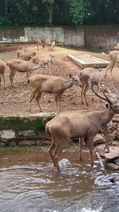 रायपुर में घूमने के लिए बेस्ट डेस्टिनेशन, जो आप मिस नहीं कर सकते