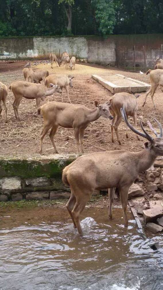 रायपुर में घूमने के लिए बेस्ट डेस्टिनेशन, जो आप मिस नहीं कर सकते