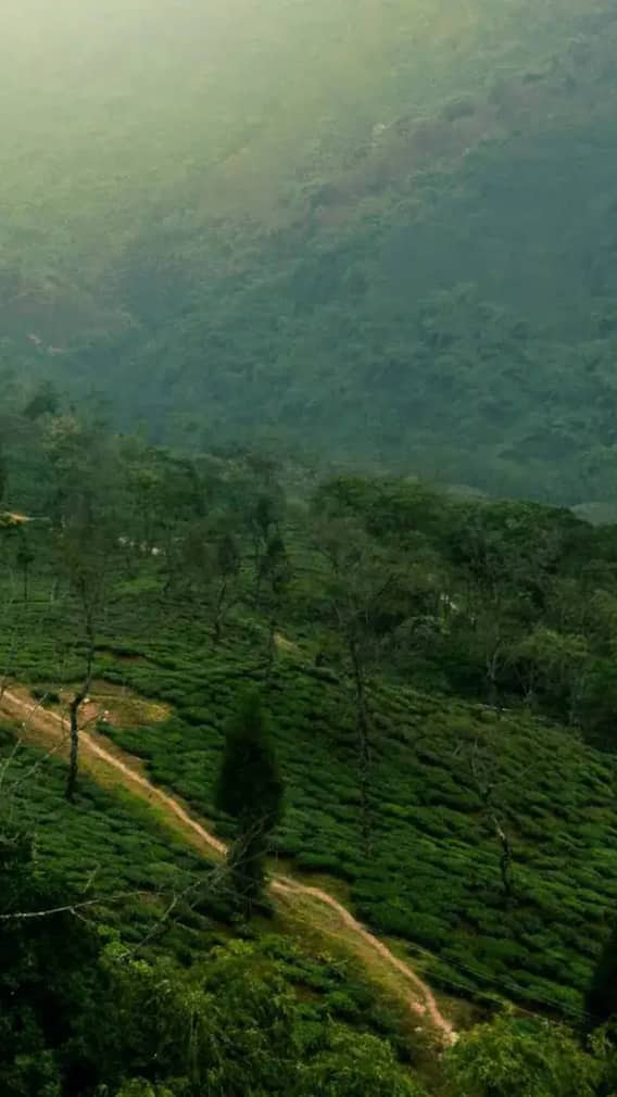 शादी के बाद घूमने की सोच रहे हैं? तो झारखंड के ये हिल स्टेशन आपकी ट्रिप को बना देंगे यादगार