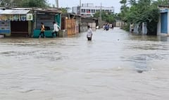 Banaskantha: 16 ઈંચ વરસાદથી બોર્ડર વિસ્તારમાં તારાજી સર્જાઈ, અનેક ગામો હજુ પણ સંપર્ક વિહોણા