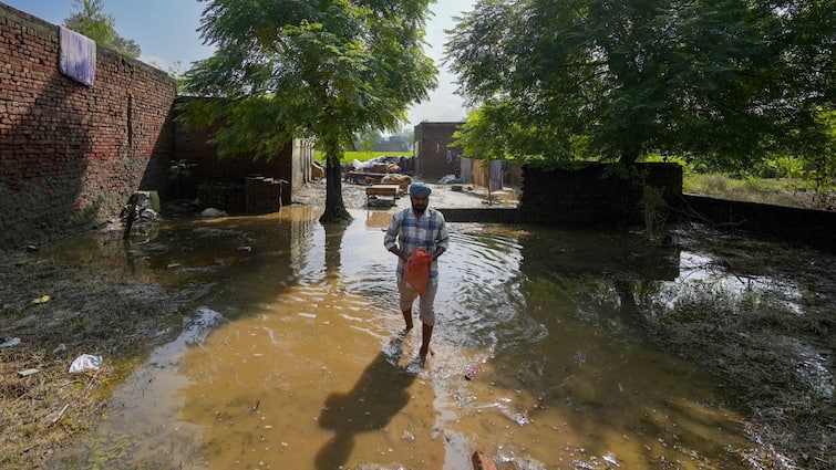 Punjab Floods Death Toll Rises To 52; Over 2,000 Villages Affected