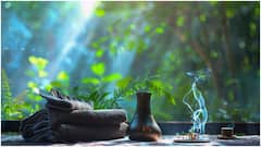 'పతంజలి నిరామయం' గురించి తెలుసా? ఇక్కడ దీర్ఘకాలిక వ్యాధులకు సహజమైన చికిత్సలు చేస్తారట, పూర్తి వివరాలివే