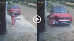 Video: बस का इंतजार कर रही बुजुर्ग को तेज रफ्तार Brezza ने कुचला, मौके पर मौत, वीडियो वायरल