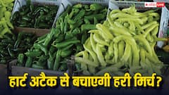 क्या हरी मिर्च खाने से कम होता है हार्ट अटैक का खतरा, डॉक्टर से जान लें यह बात कितनी सच?