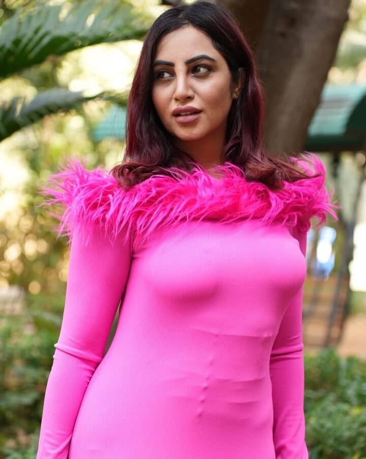 हिंदी रश को दिए इंटरव्यू में अर्शी ने कहा कि बिग बॉस से निकलने के बाद उन्हें काफी प्रोजेक्ट्स ऑफर हुए. लेकिन सबमें इंटीमेट सीन्स का भरमार था. लोग कहते कुछ हैं और करते कुछ हैं.