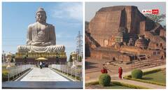 नालंदा के खंडहर से लेकर बोधगया के बोधिवृक्ष तक बौद्ध धर्म का ज्ञान, जानें बिहार के इन पांच स्थलों के बारे में