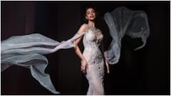 Meenaakshi Chaudhary : దేవకన్య లుక్​లో మెరిసిపోతున్న మీనాక్షి చౌదరి.. హాట్​నెస్ డోస్ కాస్త పెంచింది అంతే