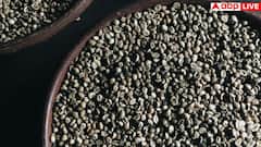 इन 5 लोगों को भूलकर भी नहीं खाने चाहिए चिया सीड्स? जान लें क्या-क्या हो जाती हैं दिक्कतें