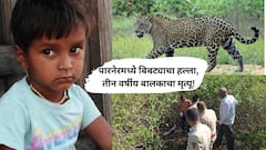 अहिल्यानगर  मधील पारनेर या परिसरात बिबट्याचा तीन वर्षीय मुलावर हल्ला!