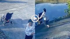 Video: बातों में मशगूल थी मम्मी जी! तालाब में जा गिरा स्ट्रोलर पर बैठा बच्चा, हादसे का वीडियो वायरल