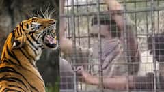 On Cam: Karnataka Villagers Cage Forest Officials For Delayed Response To Tiger Threat