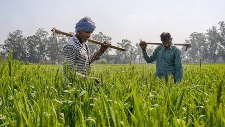Under the scheme, farmers are given money in three installments. So far, crores of farmers have taken advantage of this. But to take advantage, farmers keep information and documents updated. Otherwise they do not get benefits.