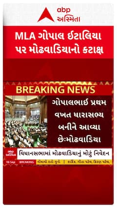 Arjun Modhwadia : આપ ધારાસભ્ય ગોપાલ ઇટાલિયા પર અર્જુન મોઢવાડિયાએ શું કર્યો કટાક્ષ?