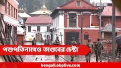 প্রসিদ্ধ পশুপতিনাথ মন্দিরেও আন্দোলনকারীদের তাণ্ডবের চেষ্টা! ভাঙচুরের চেষ্টা রুখল সেনা, কী পরিস্থিতি এখন