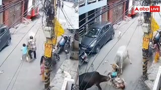 पोते के साथ जा रहे शख्स को दो सांड ने पटका, वायरल हो रहा खौफनाक वीडियो