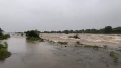 Solapur Heavy Rain: अक्कलकोटमध्ये ढगफुटीसदृश पाऊस, पाण्याच्या प्रचंड लोंढ्याने शेतं पाण्याखाली!