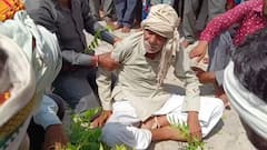 झांसी में शख्स को हर तीसरे साल डसता हैं सांप, अब तक 13 बार काटा