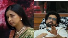 Bigg Boss 19: Amaal Mallik And Tanya Mittal’s Growing Bond Hints At Budding Romance