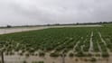 Gujarat Rain Forecast: રાજ્યમાં ફરી આ તારીખથી ભારે વરસાદનો રાઉન્ડ થશે શરૂ, બંગાળની ખાડીમાં સર્જાઇ સિસ્ટમ
