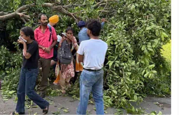 ਪਟਿਆਲਾ ‘ਚ ਸਵਾਰੀਆਂ ਨਾਲ ਭਰੀ ਬੱਸ ਦਰੱਖਤ ਨਾਲ ਟਕਰਾਈ; ਧਮਾਕੇ ਨਾਲ ਪਲਟੀ; ਕਈਆਂ ਦੇ ਟੁੱਟੇ ਪੈਰ; 52 ਸੀਟਰ PRTC ਬੱਸ ‘ਚ 130 ਯਾਤਰੀ ਸਵਾਰ