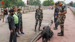 নেপালের বিভিন্ন জেল ভেঙে পলাতক প্রায় ১৫ হাজার কয়েদি ! ভারতে ঢোকার চেষ্টার সময় অনেককে পাকড়াও SSB-র