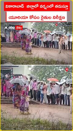 వికారాబాద్  జిల్లాలో వర్షంలో తడుస్తూ యూరియా కోసం రైతుల నిరీక్షణ