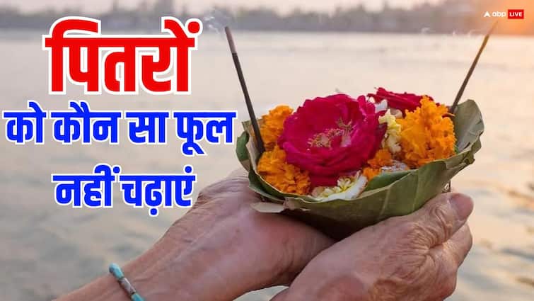 Pitru Pakha 2025: पितरों को भूल से भी न चढ़ाएं ये फूल, पूर्वज श्राद्ध नहीं करते स्वीकार