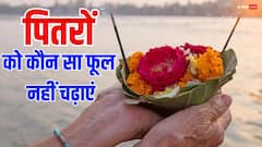 Pitru Pakha 2025: पितरों को भूल से भी न चढ़ाएं ये फूल, पूर्वज श्राद्ध नहीं करते स्वीकार