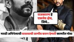 'राजकारण एकमेव क्षेत्र, जिथे...'; मराठी अभिनेत्याची वास्तवाची जाणीव करुन देणारी खरमरीत पोस्ट