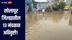 राज्यात पावसाचा जोर पुन्हा वाढला, शेती पिकांना मोठा फटका, सोलापूर जिल्ह्यातील 13 मंडळात अतिवृष्टी 