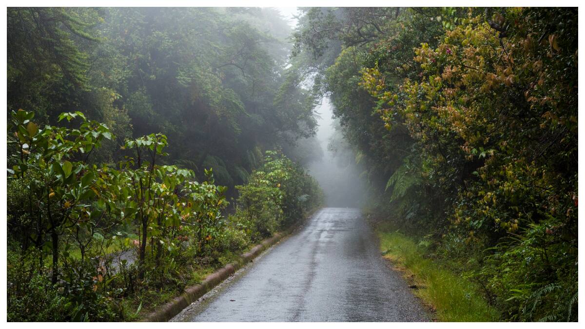 Weather Update: తెలుగు రాష్ట్రాలపై ఉపరితల ఆవర్తనం ప్రభావం- మూడు రోజుల పాటు వర్షాలు 