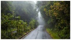 తెలుగు రాష్ట్రాలపై ఉపరితల ఆవర్తనం ప్రభావం- మూడు రోజుల పాటు వర్షాలు 