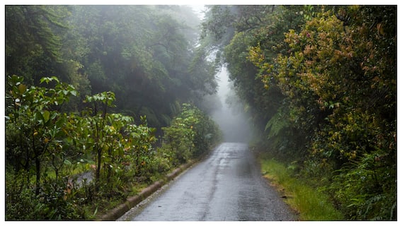 Weather Update: తెలుగు రాష్ట్రాలపై ఉపరితల ఆవర్తనం ప్రభావం- మూడు రోజుల పాటు వర్షాలు 