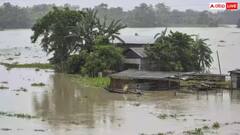 राजस्थान: जालौर के सांचौर में उफान पर लूणी नदी, 50 से ज्यादा गांवों का संपर्क टूटा, टापुओं पर फंसे लोग