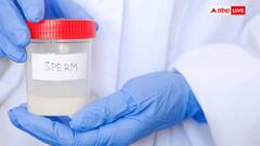 क्या है स्पर्म बैंक टेक्नोलॉजी, इसमें कितने टेम्परेचर पर स्टोर किया जाता है मेल सीमेन