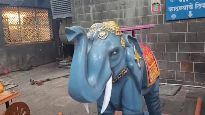 वाघ, सिंह, हत्ती, नंदी, गरुड, मोर, अशा विविध नऊ वाहनांवर नऊ दिवसात देवीचा पालखी छबिना निघतो