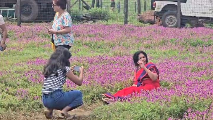मात्र यावर्षी सप्टेंबर महिन्याच्या पहिल्या आठवड्यापासून अनेक दुर्मिळ फुलांनी हे कास पठार फुलायला सुरुवात झाली आहे.