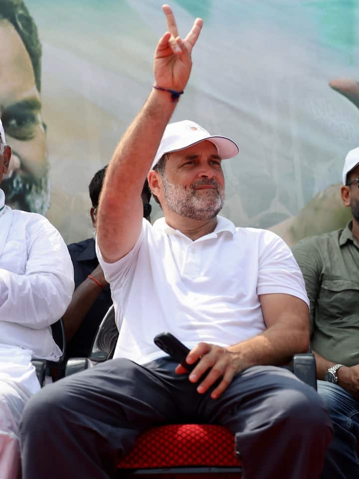 राहुल ने अपनी शुरुआती पढ़ाई दिल्ली के मॉडर्न स्कूल से शुरू की. लेकिन 1984 में इंदिरा गांधी की हत्या के बाद सुरक्षा कारणों से उन्हें घर से पढ़ाई करनी पड़ी. इसके बाद उन्होंने दिल्ली के सेंट स्टीफंस कॉलेज से ग्रेजुएशन की शुरुआत की. साल 1990 में वे अमेरिका की मशहूर हार्वर्ड यूनिवर्सिटी पहुंचे. लेकिन किस्मत ने उनका साथ नहीं दिया. पिता राजीव गांधी की हत्या (1991) के बाद उन्हें पढ़ाई बीच में ही छोड़नी पड़ी.