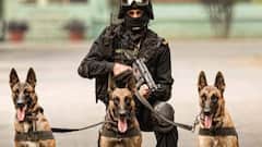 Indian Army Dogs Training: कुत्तों को कहां ट्रेंड करती है इंडियन आर्मी, क्या इनके लिए भी बनाए गए हैं ट्रेनिंग सेंटर्स