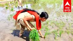 விழுப்புரத்தில் 7 ஆண்டுகளாக கிடப்பில் இருக்கும் வேளாண் கல்லூரி கோரிக்கை! மாணவர்களின் ஏக்கம் தீருமா?