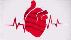 గుండె సమస్యలకు 4 ప్రధాన కారణాలు ఇవే.. హార్ట్ హెల్త్ కోసం నిపుణులు ఇస్తోన్న సూచనలు