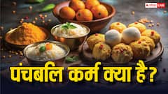 Pitru Paksha 2025: पंचबलि कर्म क्या होता है, किन 5 स्थान और 5 जीवों का है इसमें जिक्र