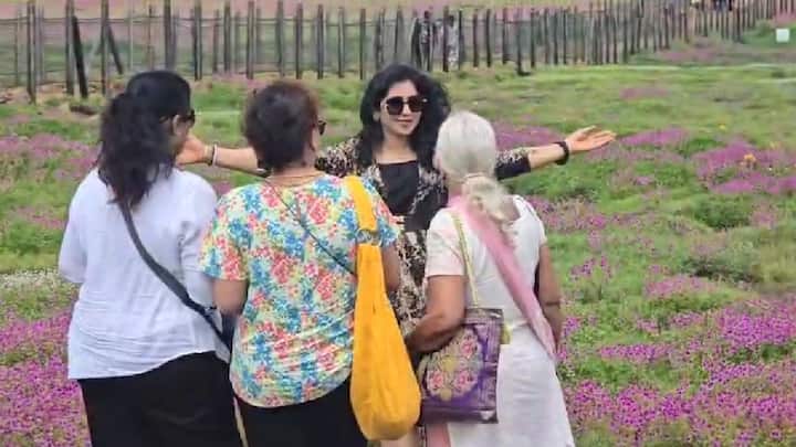 महत्वाच्या 132 फुलांच्या जातींपैकी तेरडा, सीतेची असवे, धनगरी फेटा, मिकी माऊस, कंदील पुष्प आणि चवर ही विविध रंगांची फुले येऊ लागली आहेत.